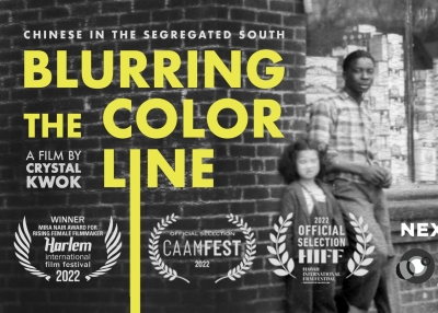 Blurring the Color Line poster