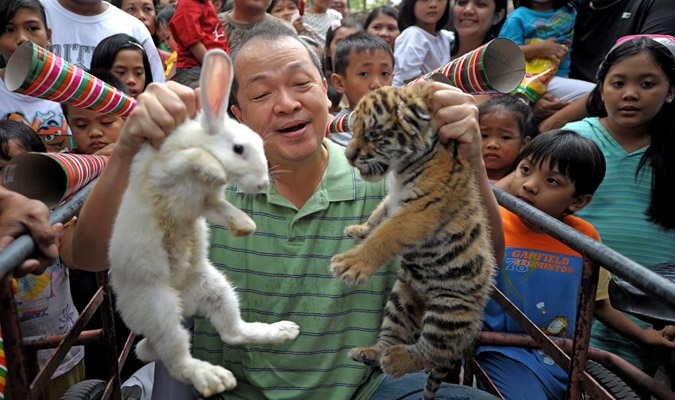 Photo of the Day: Tiger vs. Rabbit | Asia Society