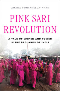 Pink Sari Revolution cover