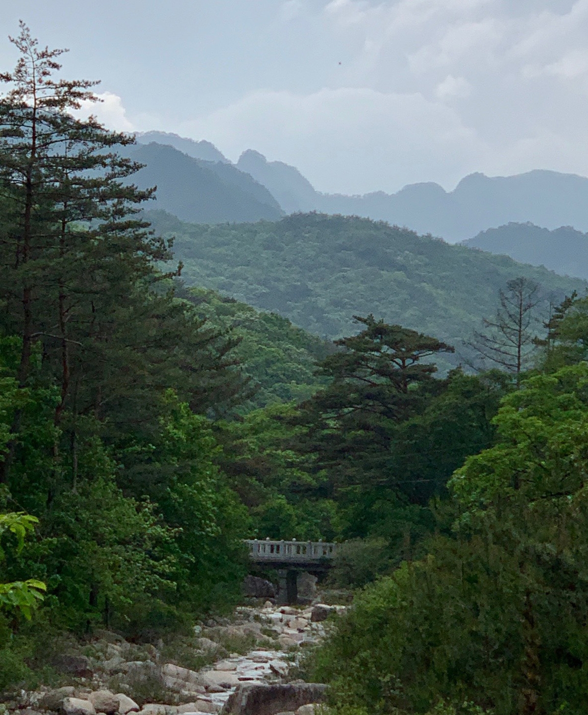Photograph of Wolak National Park by Kimsooja