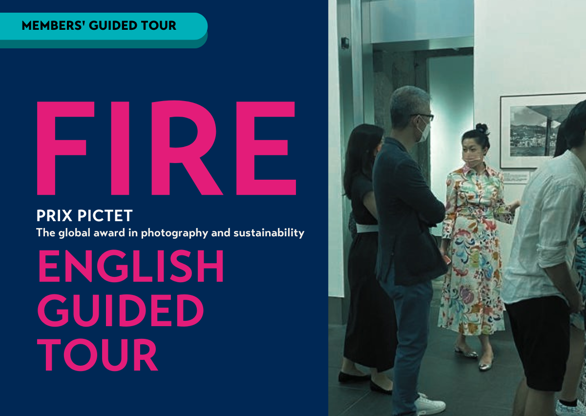 Image_Members’ Guided Tour: Fire (English) 