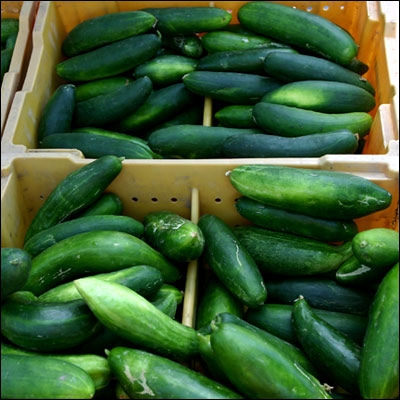 Ccumbers (Photo by Market Manager/flickr)
