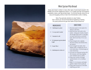 syrian pita bread