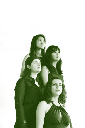 an image of the four musicians comprising bergamot quartet 