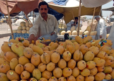 A Pakistani fruit vendor sells mangoes in in Islamabad on July 4, 2009. Pakistan is the 5th-largest producer and 3rd-largest exporter of mangoes in the world. (Sajjad Qayyum/AFP/Getty Images)