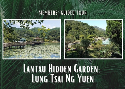 Lantau Hidden Garden: Lung Tsai Ng Yuen