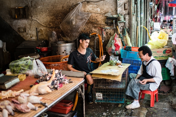 Two workers take a break to play cards at the meat market on May 26, 2012 in Chungli City, Taiwan. (macabrephotographer/Flickr)
