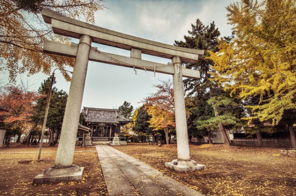 The leaves around this torii shrine change with the season in Matsudo, Japan on November 15, 2012. (lestaylorphoto/Flickr)