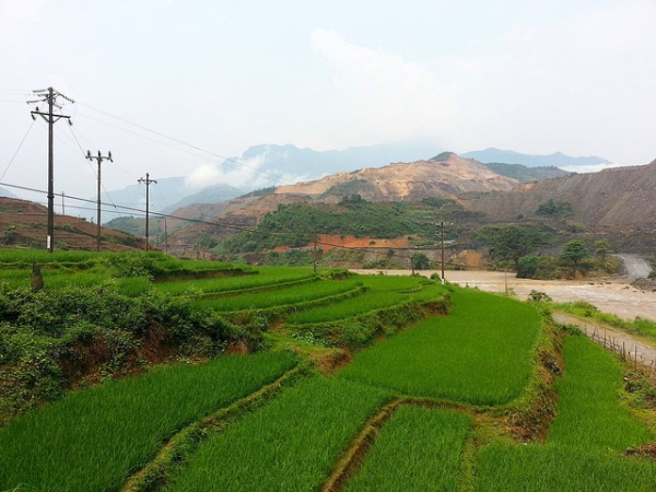 Deep green rice grass cover up staggering slops of a hill in Sinquyen, Vietnam on April 22, 1013. (Jeremy Weate/Flickr)