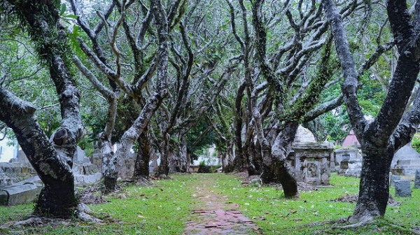 This canopy of trees provides a quiet sanctuary for the Old Protestant Cemetery in the bustling city of George Town, Penang, Malaysia on November 9, 2013. (Jiří 伊日/Flickr)