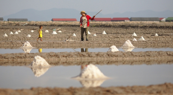 A worker laboriously harvests salt from the salt ponds near Kampot, Cambodia on January 14, 2014. (Maciej Hrynczyszyn/ Flickr)