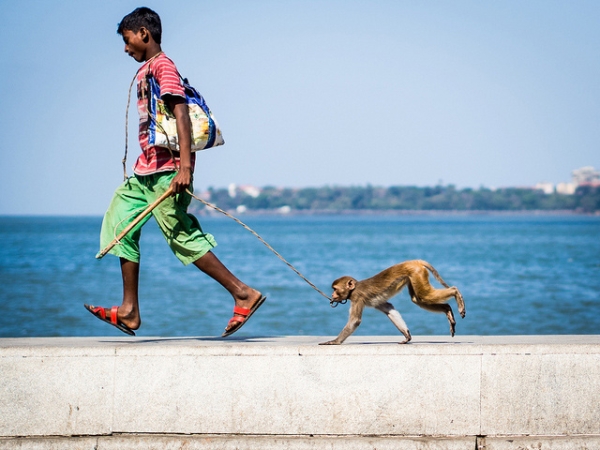 A young boy and his monkey walk along Marine Drive in Mumbai, India on March 1, 2014. (NEENAD ARUL/Flickr)