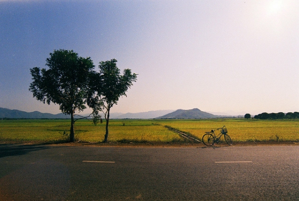 A bicycle stands parked next to an open road by a paddy field in Khanh Hoa, Vietnam on March 2, 2014. (shoot film, not bullets/Flickr)