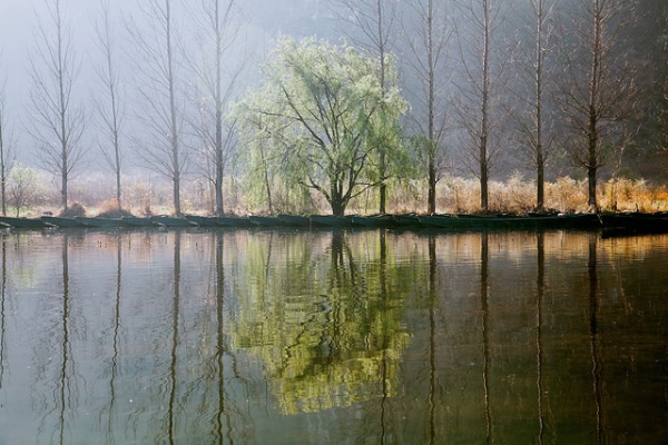 A line of trees and moored boats are reflected in a pool of water in China on March 13, 2014. (vic xia/Flickr)