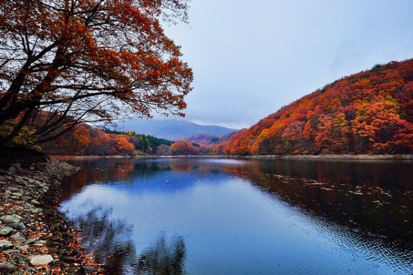 Leaves in every shade of fall colors line trees along the water in Sendai, Japan on November 9, 2014. (Genie09/Flickr)