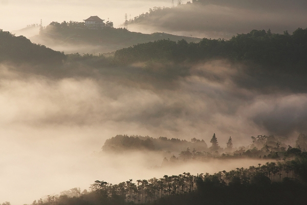 Morning mist seeps between the trees and hills of Shuishalian in Taiwan on May 17, 2014. (Mark Kao/flickr)