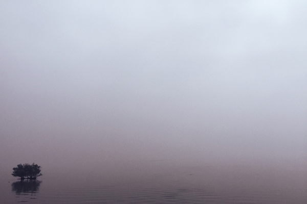 A cluster of trees stands out against the vast emptiness of the misty water surface in Guangdong, China, on February 16, 2015. (William Lu/Flickr)