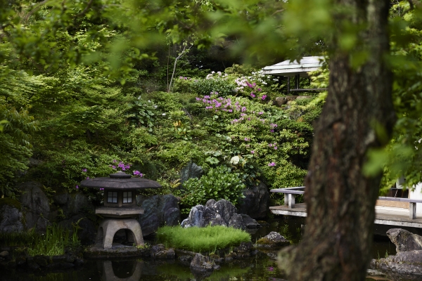 Toro, a Japanese stone lantern, beside the pond in the I-House garden