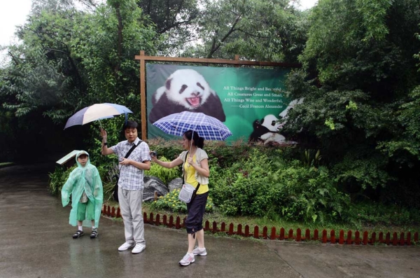 Visitors to the Giant Panda Breeding Centre in Chengdu, China in  2011. (Sean Gallagher)