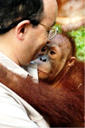 Amory Lovins in Kalimantan, Indonesian Borneo with an orangutan. (Peter Stranger)