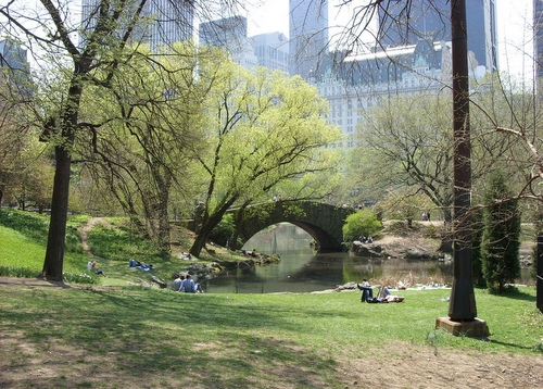 Central Park in New York City. (Flickr/Doug Kerr) 