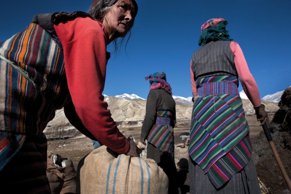 Villagers of Phuwa load bags of fertilizer onto horses to be taken to the fields. (Taylor Weidman)
