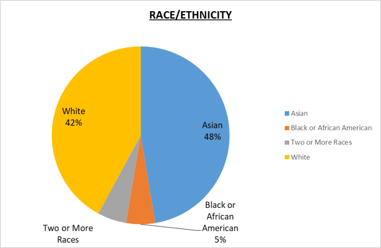 Global Leadership Race/Ethnicity Pie Chart White 42%, Asian 48%, Black or African American 5%, Two or more races 5%