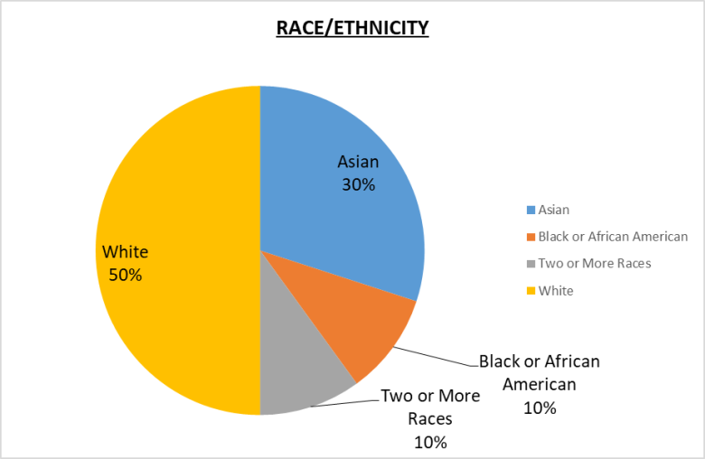 501(c)(3) Leadership Pie Chart Race/Ethnicity 50% White, 30% Asian, 10% Black or African American, 10% Two or more races