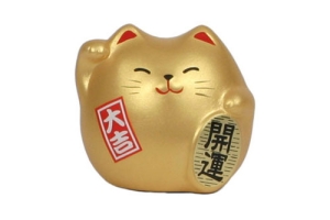 Feng Shui cat