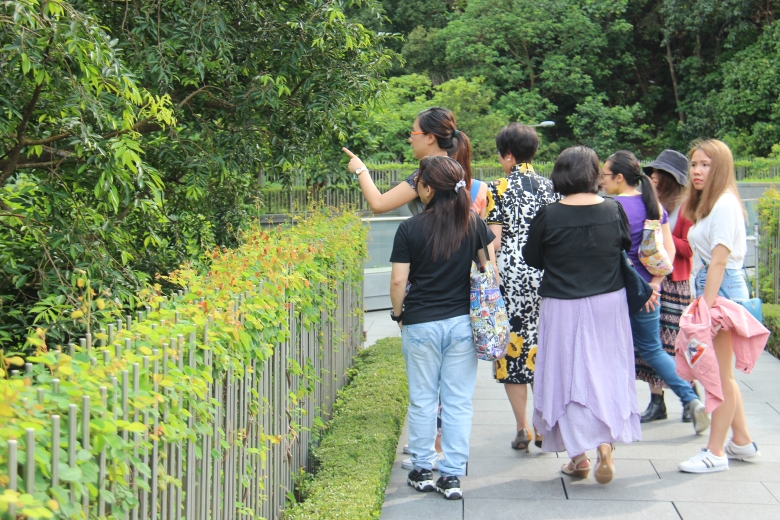 Docent Olivia Leung points out tree species along the center's Yasumoto Bridge.